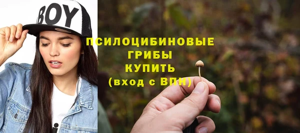 индика Лихославль