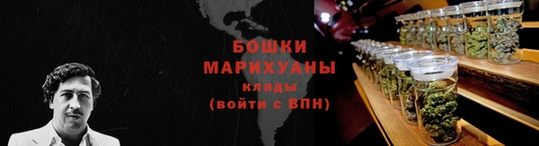индика Лихославль