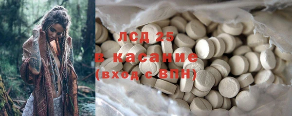 индика Лихославль