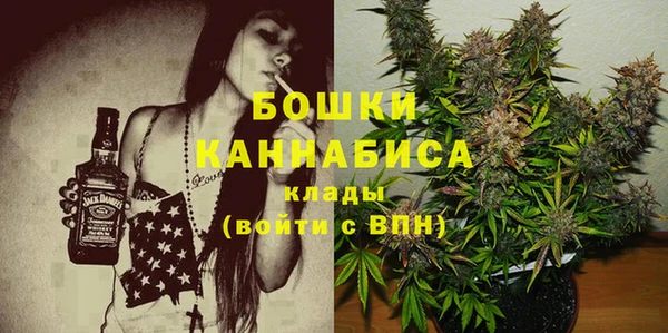 индика Лихославль